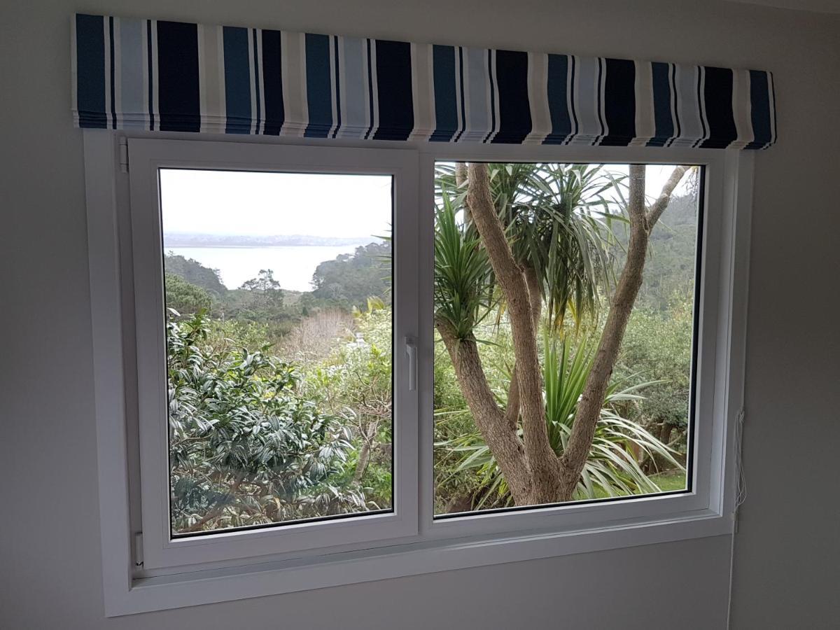 Fernglen B&B Auckland Bagian luar foto