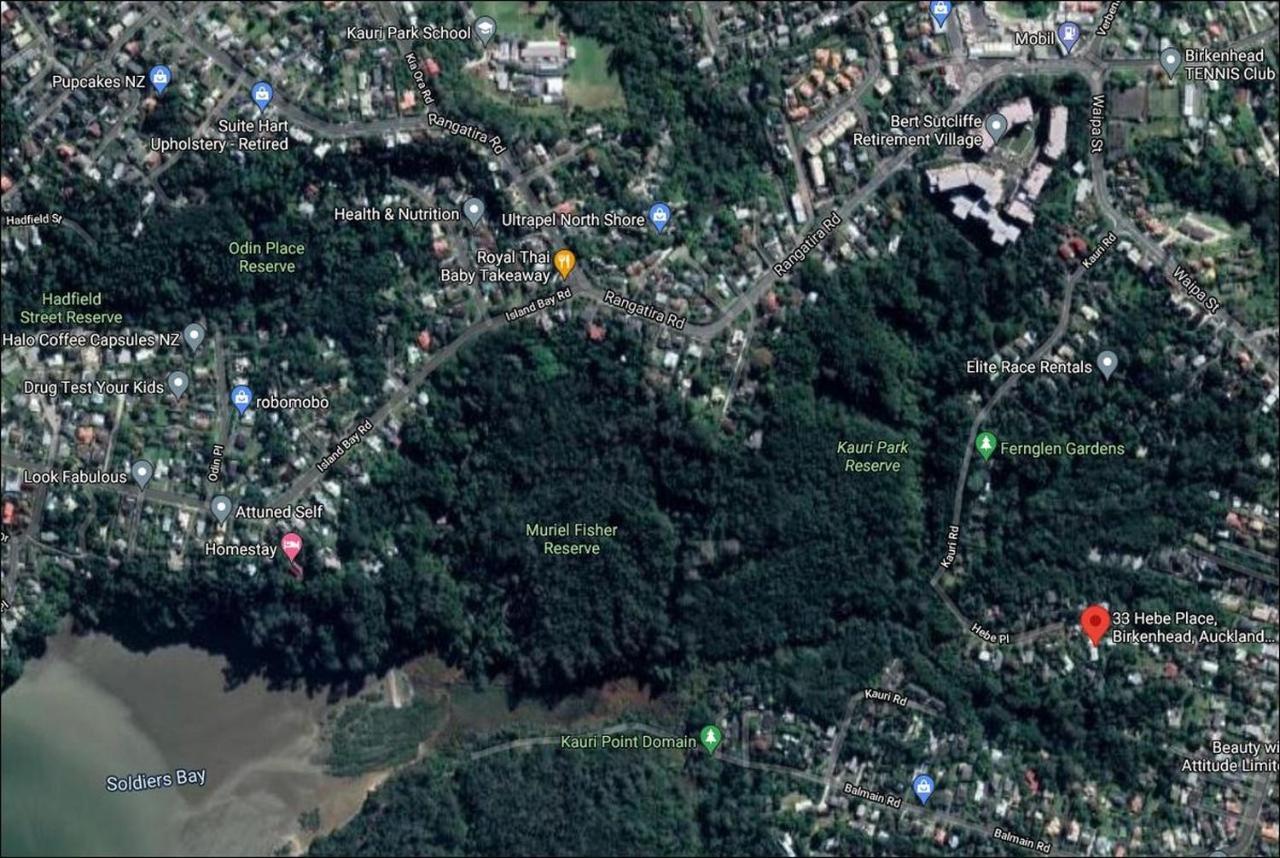 Fernglen B&B Auckland Bagian luar foto